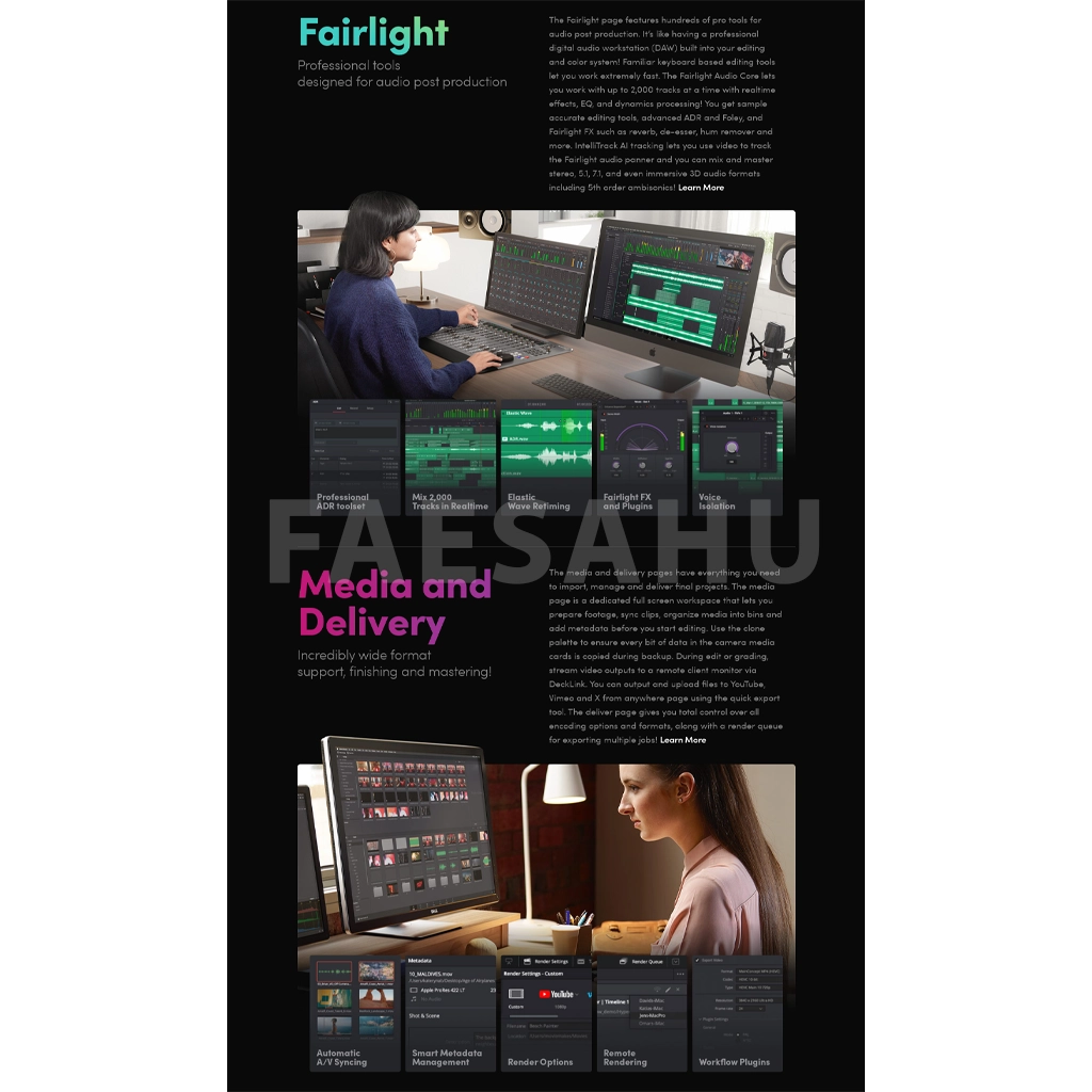 Blackmagic Davinci Resolve Studio — feature 2